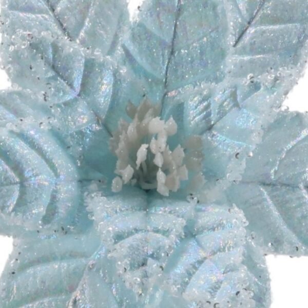Ice Blue Poinsettia
