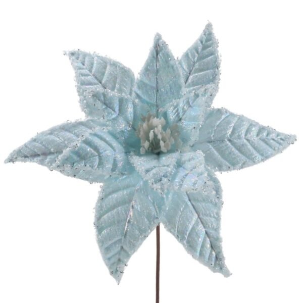 Ice Blue Poinsettia