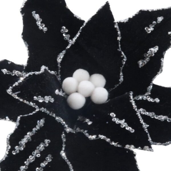 Black Velvet Poinsettia