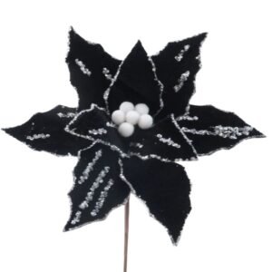Black Velvet Poinsettia