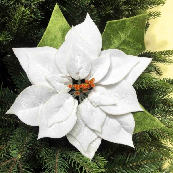 Пуансеттия Рождественская елка Цветы