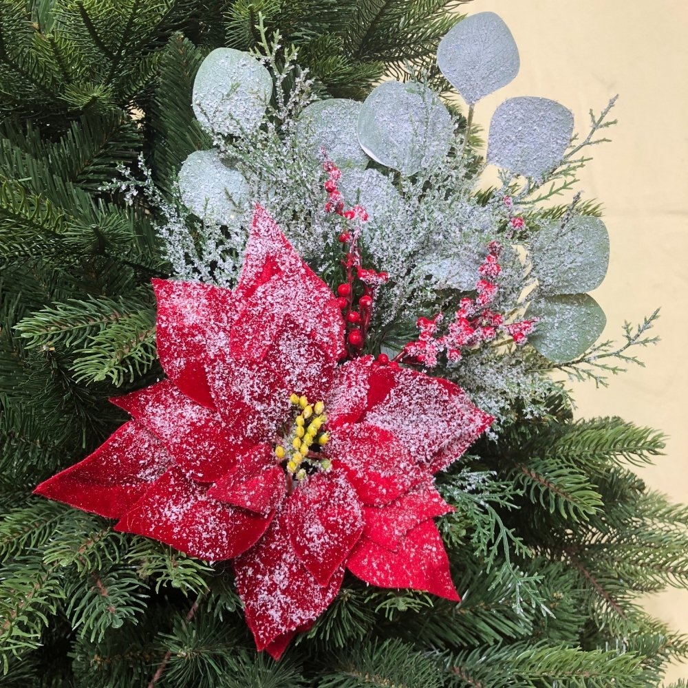 Пуансеттия: выбор для рождественской елки