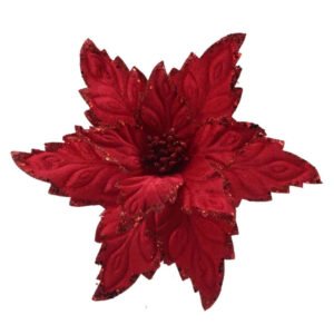 Пуансеттия Цветок Рождество