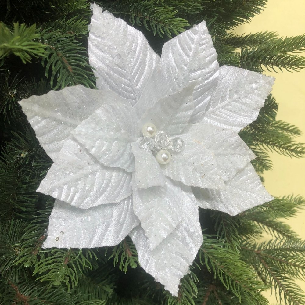 Белые цветы на Рождество
