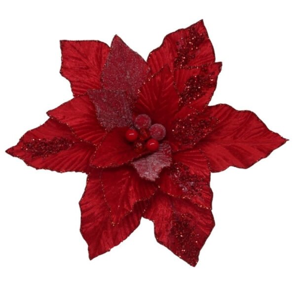 Christmas Flowers Red Poinsettia