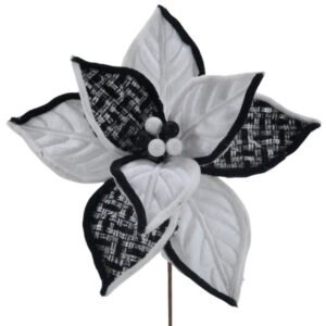 Black and White Poinsettia