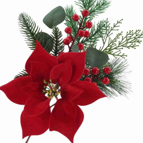 Christmas Tree Poinsettia