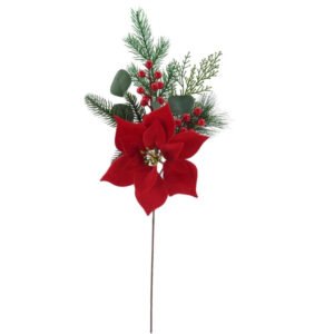 Christmas Tree Poinsettia