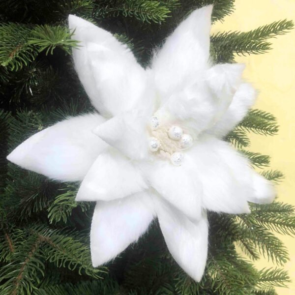 White Poinsettia Christmas