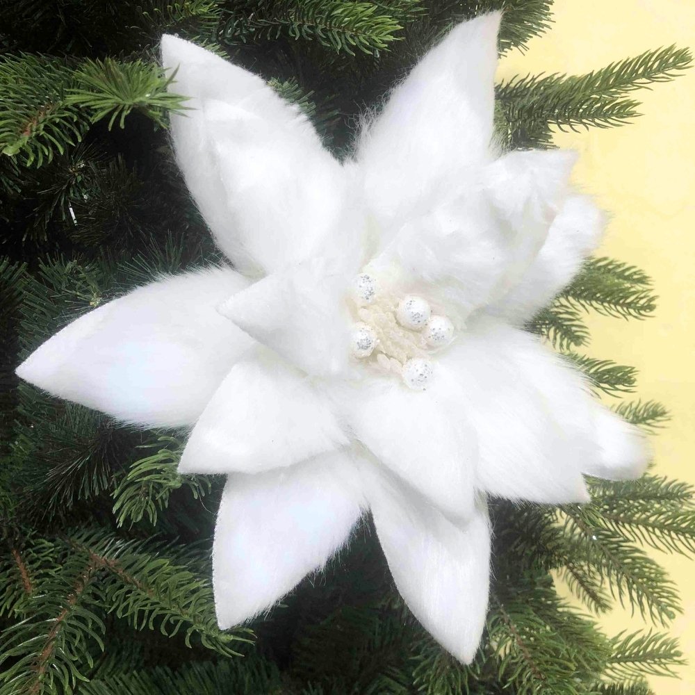 White Poinsettia Christmas