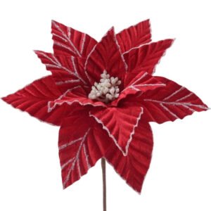 Красный Цветок Рождественская Пуансеттия