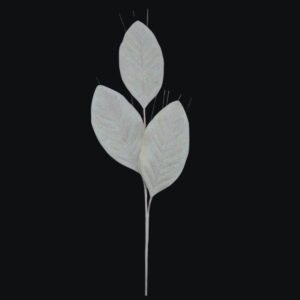 Świąteczne propozycje Magnolii