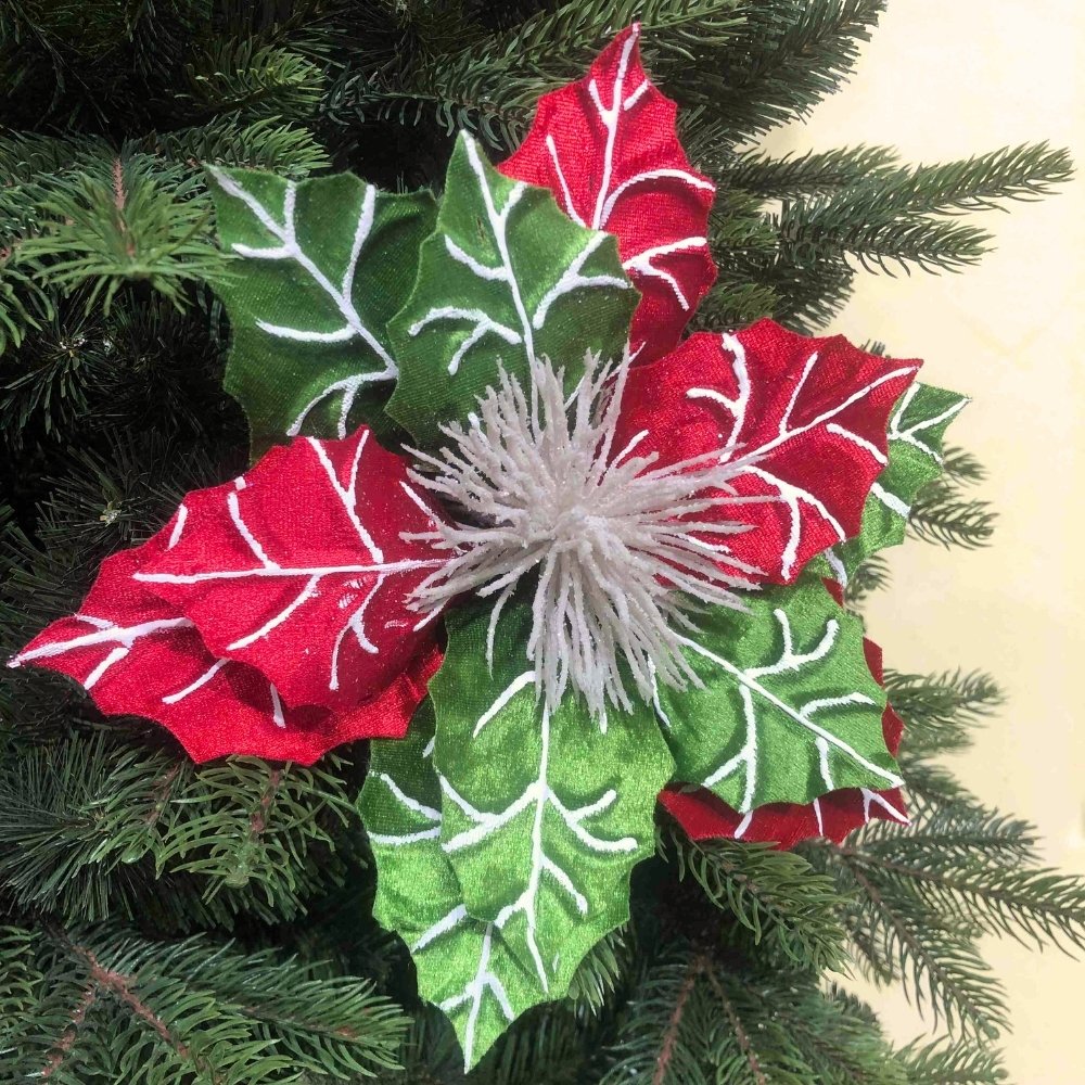 Red And Green Christmas Flowers