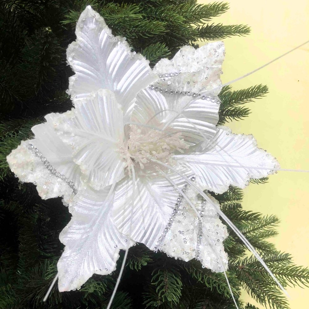 Glitter White Poinsettia