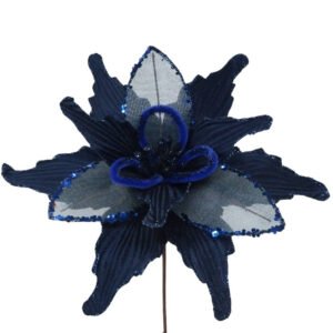 Midnight Blue Poinsettia
