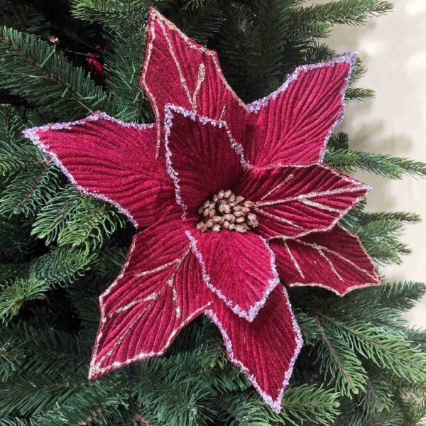 Dark Red Poinsettia