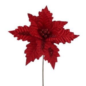 Red Christmas Poinsettia