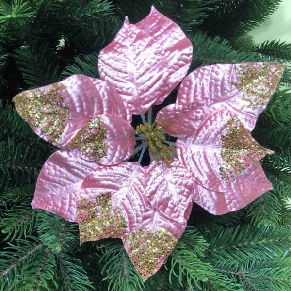 Pink Poinsettia Flower