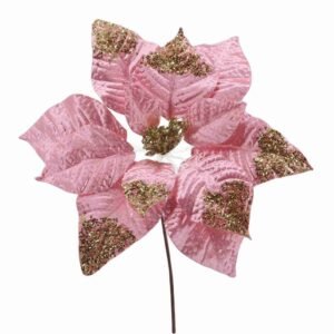Pink Poinsettia Flower