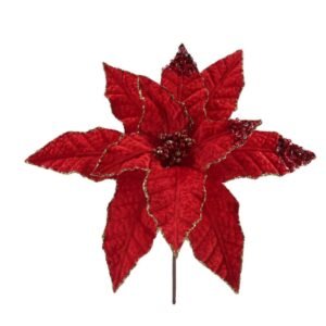 Red Poinsettias