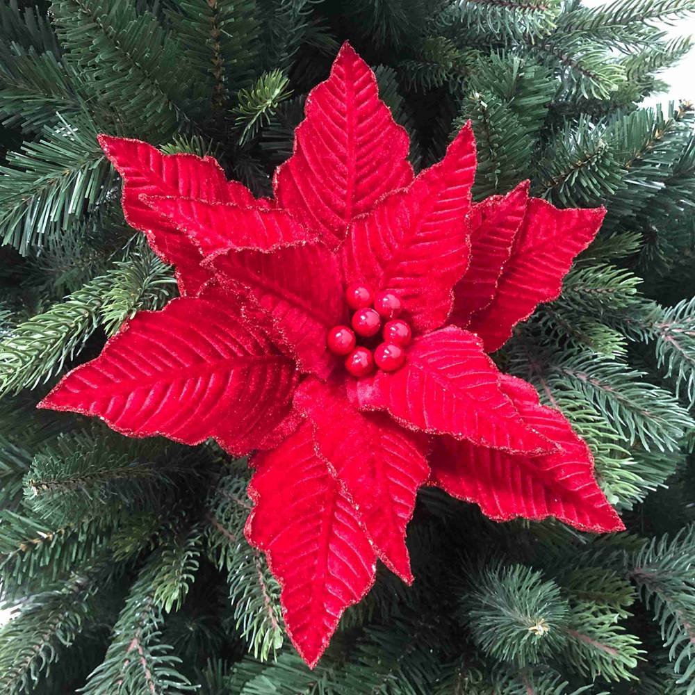 Red Poinsettia Christmas