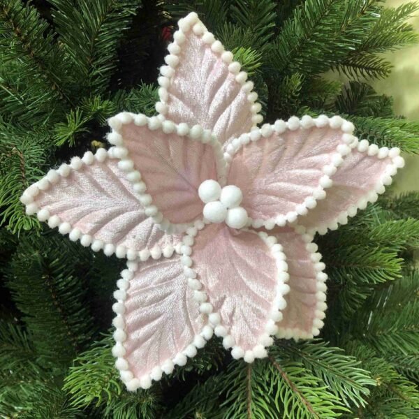 Pink Christmas Poinsettia