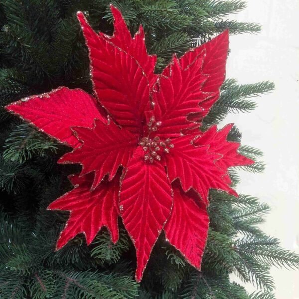 Red Poinsettia Stems